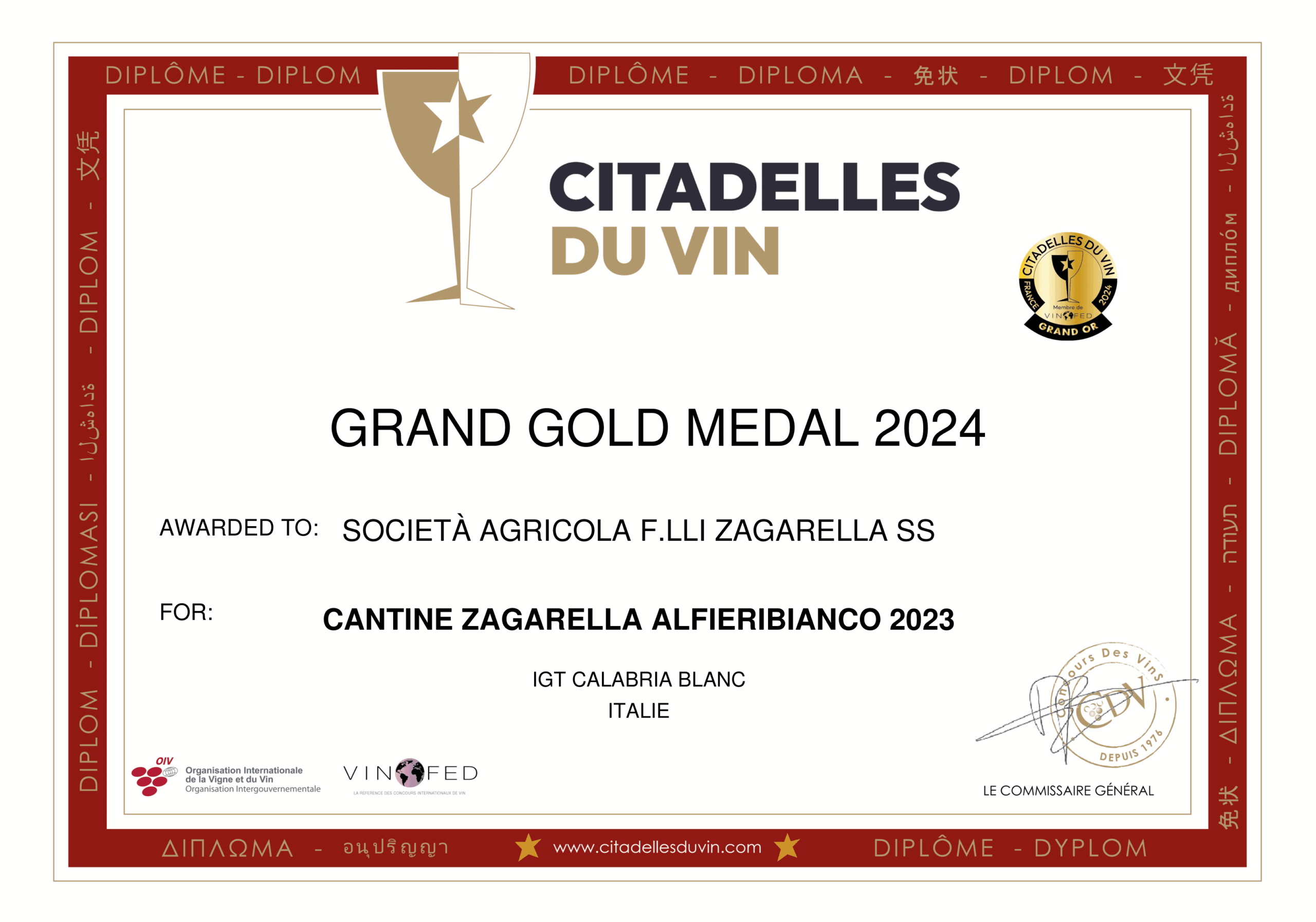 Diploma_2024-1-mini