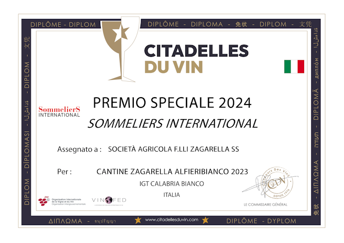 SPECIAL-PRIZE-SOMMELIERS-INTERNATIONAL-DIPLOMA-1mini